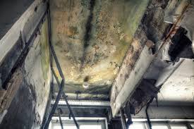 Mold Remediation for Rental Properties in Bellmead, TX